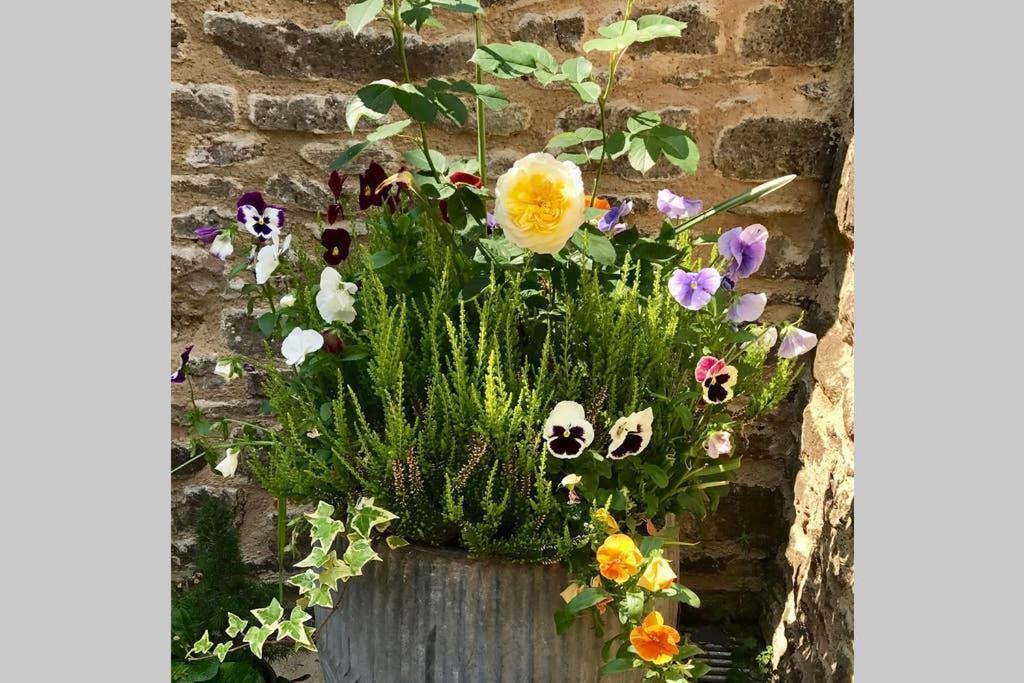 Oxfordshire Living - The Bowler Hat Cottage - Woodstock Kültér fotó